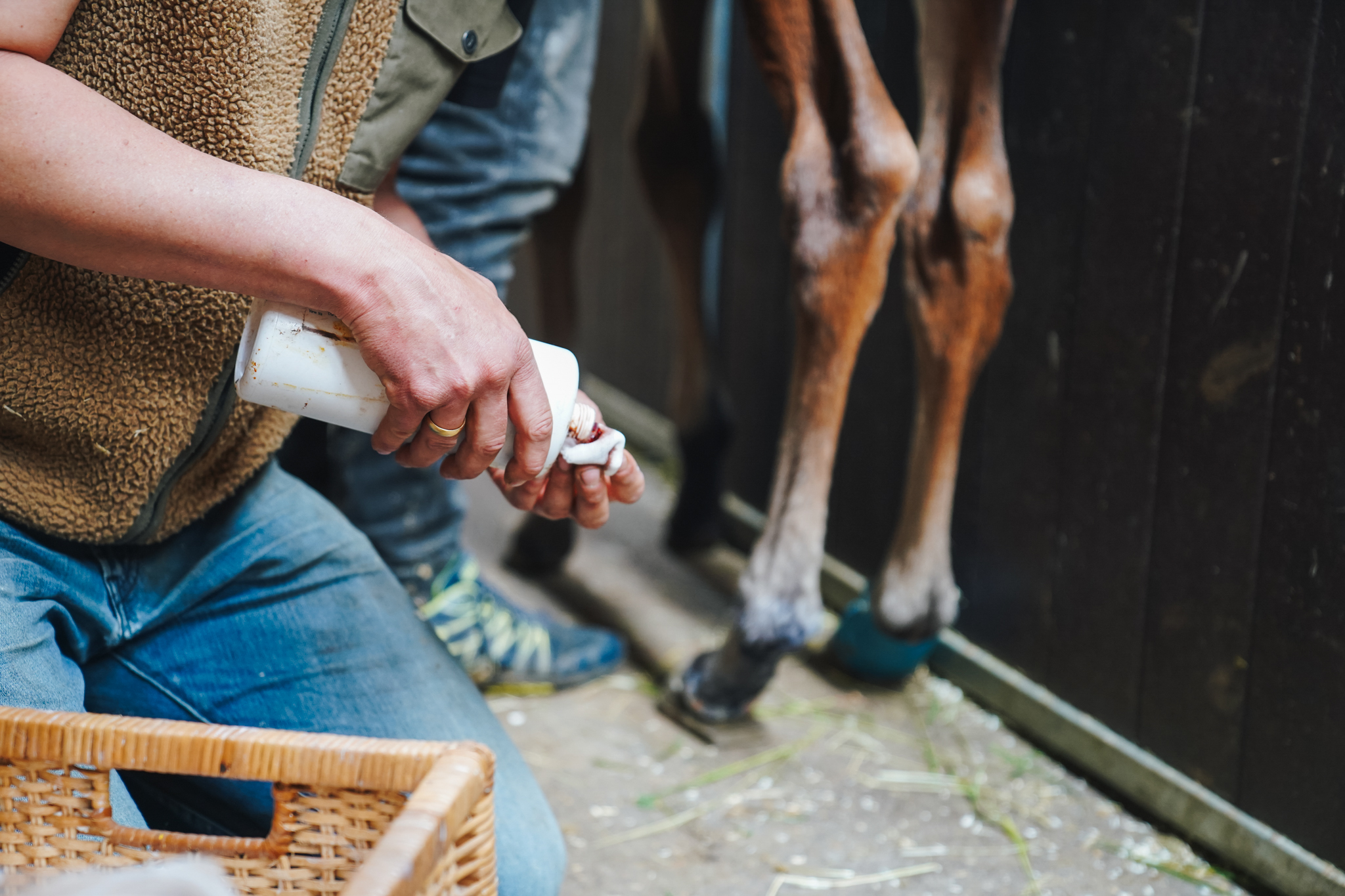 Monitoring und Pflege