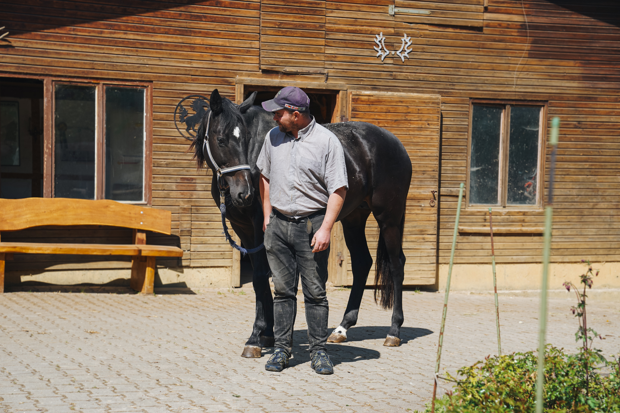 Training für Problempferde